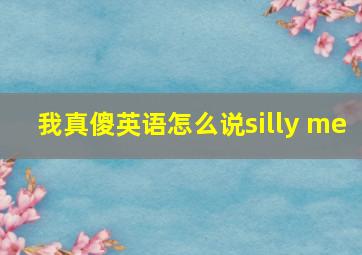 我真傻英语怎么说silly me